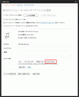 Audio Player