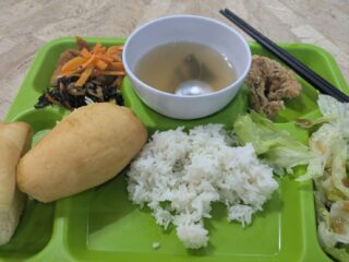 2026-0325 ひなちゃん 昼晩御飯