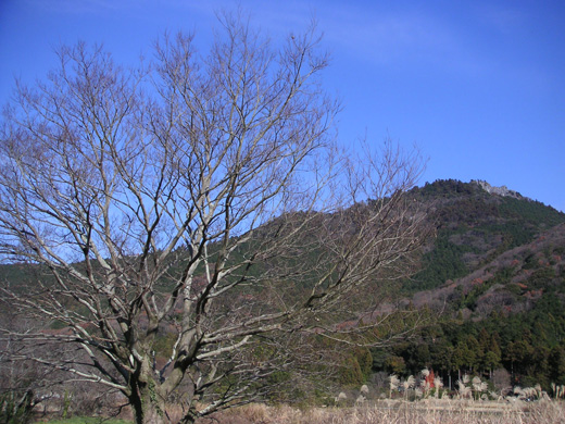 池へ降りてみた