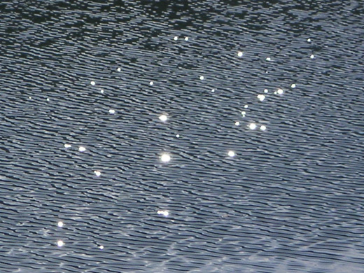 池の光