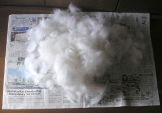 ディーディーの毛