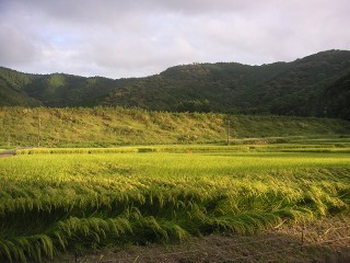 今日は5時過ぎに