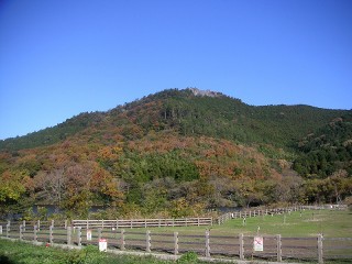 久々の三ツ口池