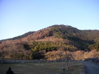 今年最後の散歩