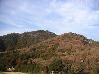 駅伝を見てから午後散歩