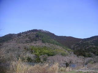 久しぶりの午前散歩