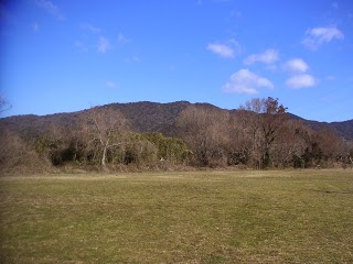 今日も利兵池公園で散歩。