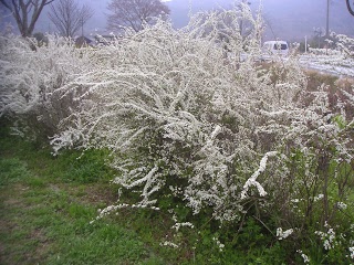 弟子たちライブの前に