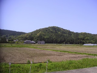 今日の散歩は2.5Km