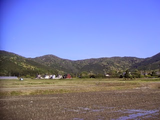 田んぼに水が