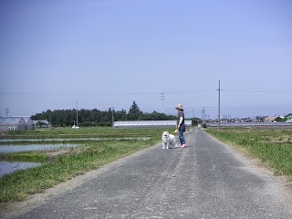 小学校は運動会