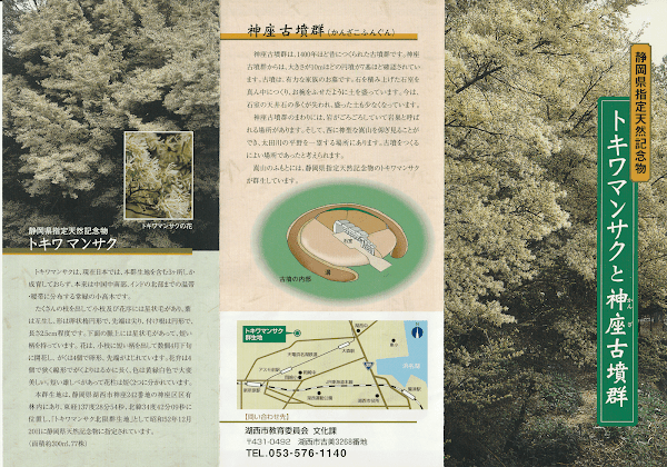 「トキワマンサクまつり」経由で嵩山