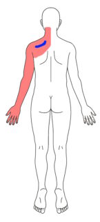 ここを押すとひびく所