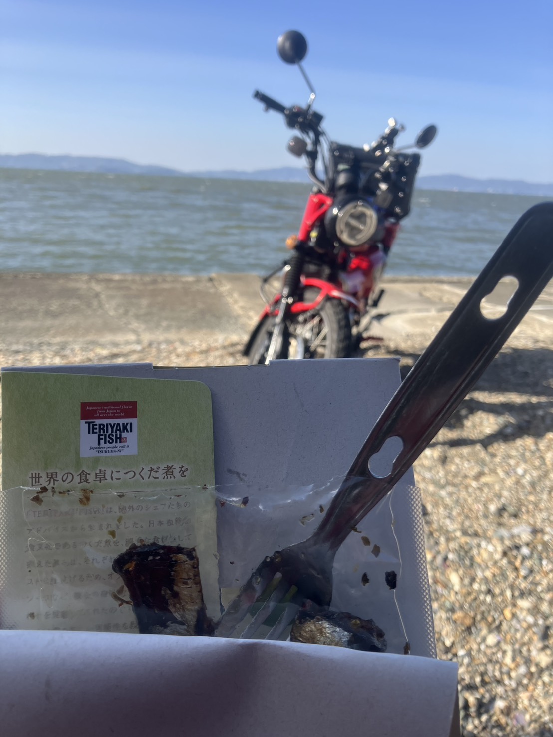 りこママキャンプ03