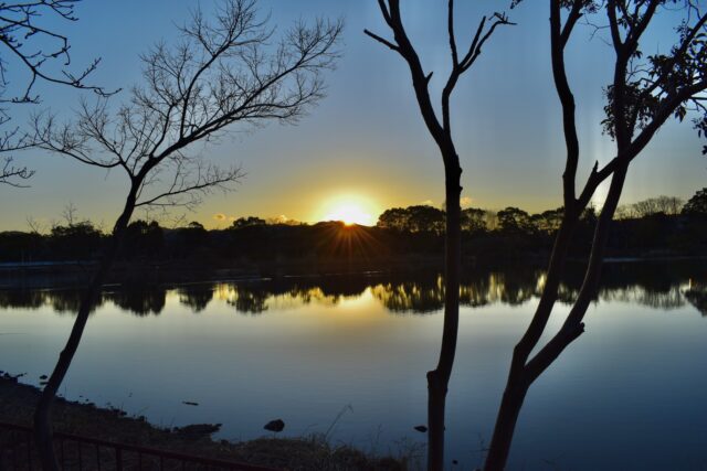 向山大池公園　一番好きな人から1月5日に送られてきた。
