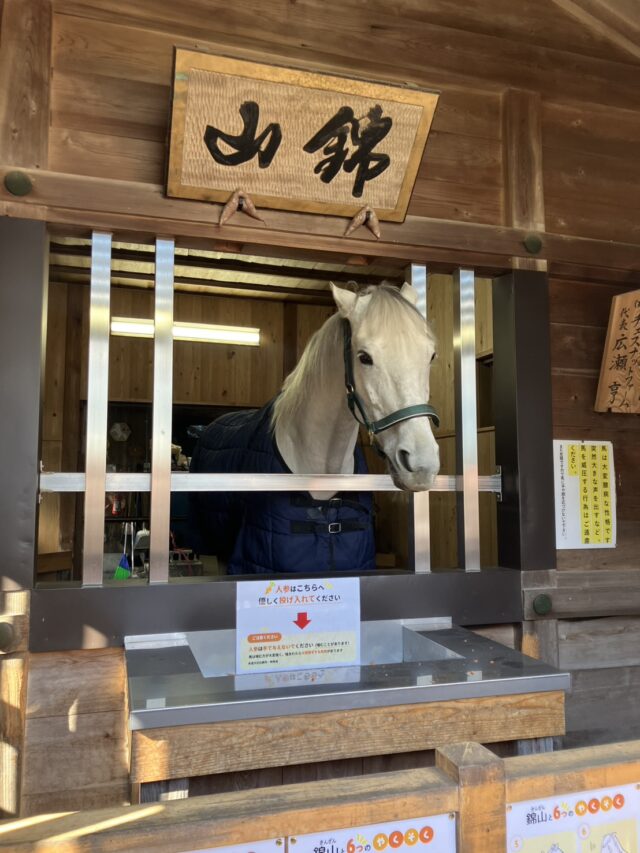 多度大社の錦山号