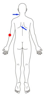 合谷を押すとひびく所222