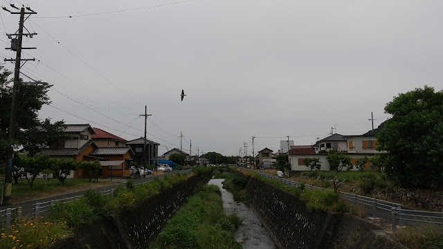 しまった…目と鼻と喉がメチャ痛い