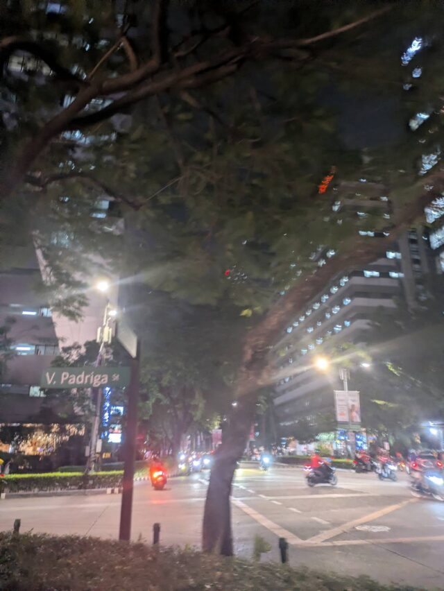 2026-0323 ひなちゃん 夜の街01